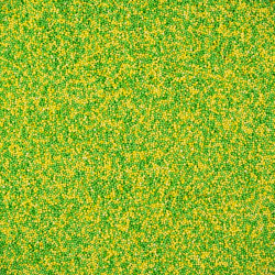 Musketzaad (lente)