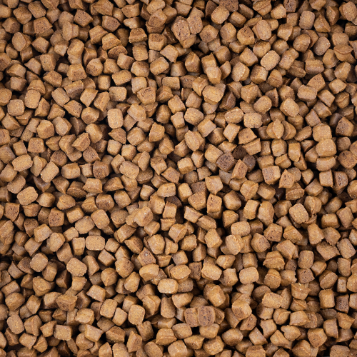 Cookie bites speculoos
